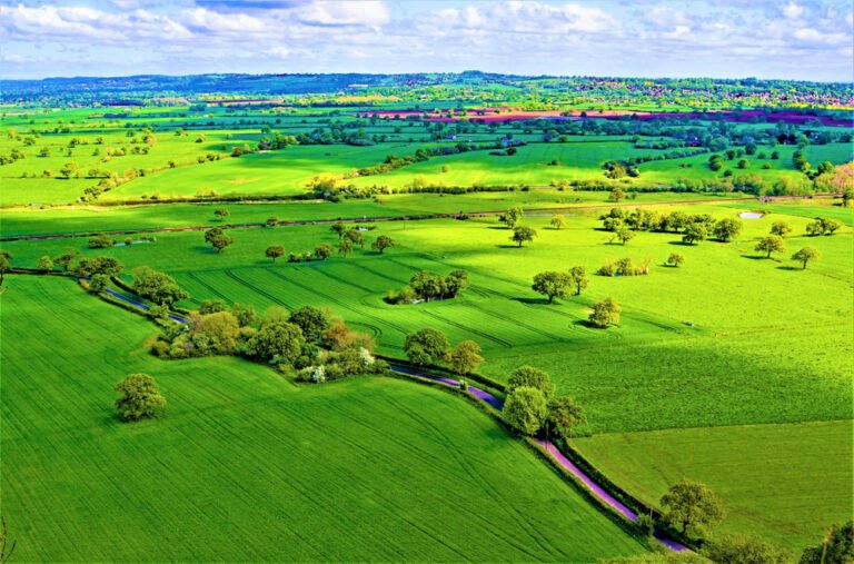 cheshire-east-council-jobs-roles-social-work-portman-recruitment